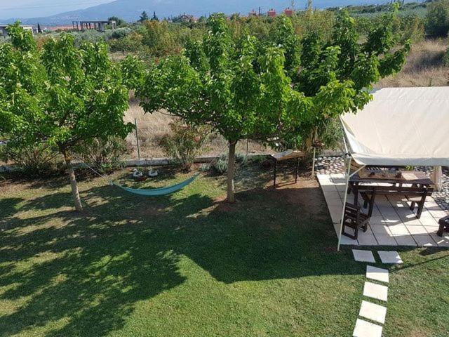 ליטוחורון Plaka Luxury Villa מראה חיצוני תמונה